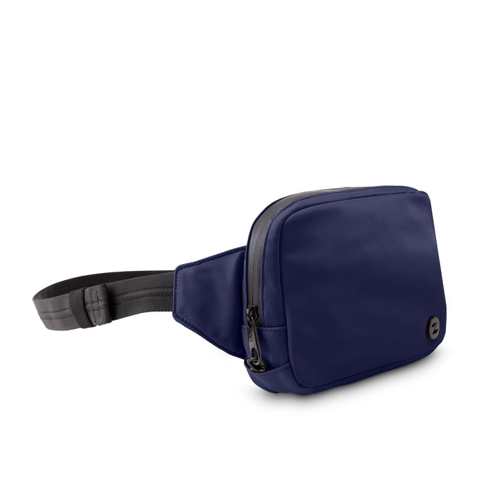 Go Anywhere Belt Bag