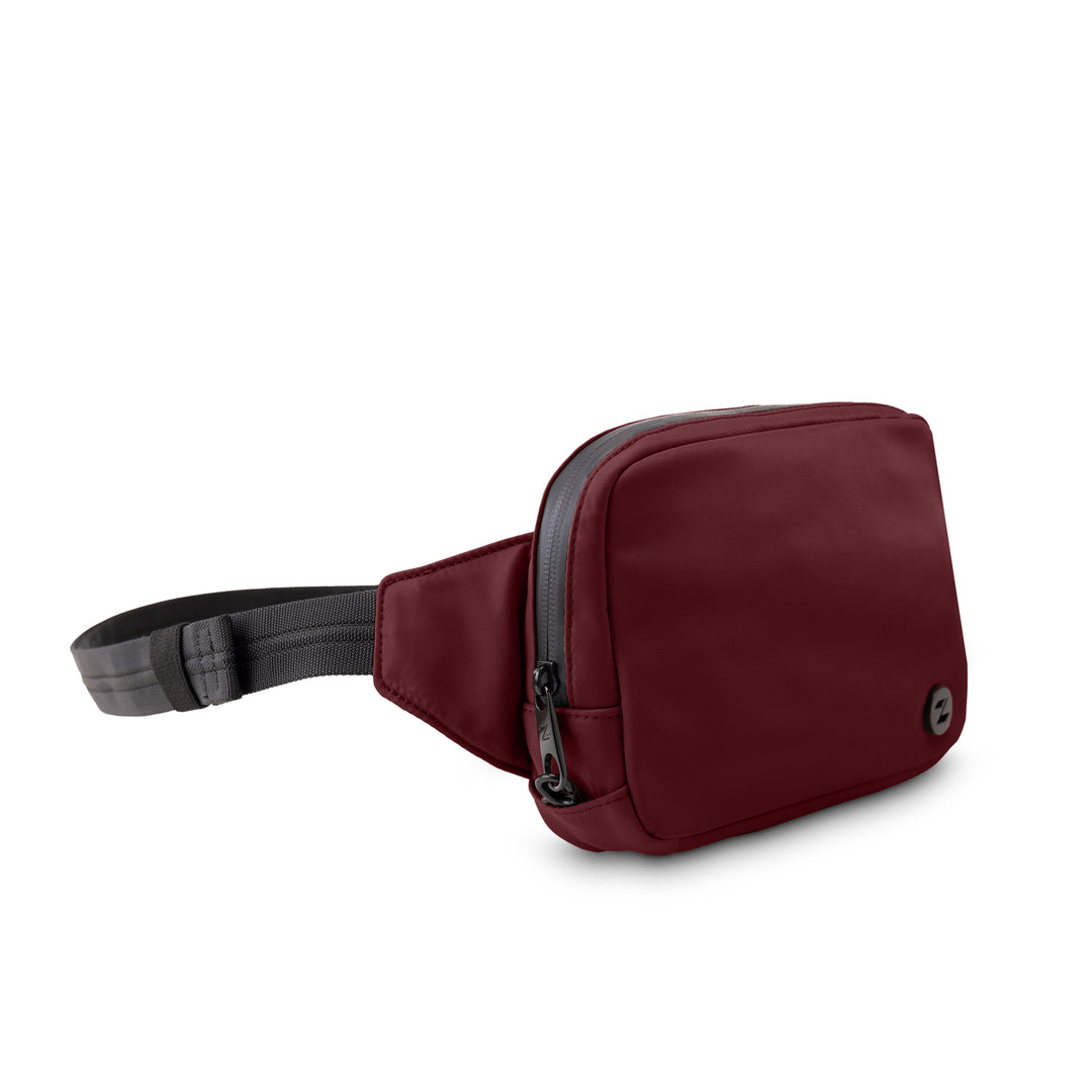 Go Anywhere Belt Bag